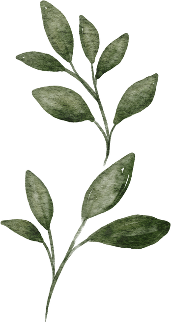 greenery clipart watercolor